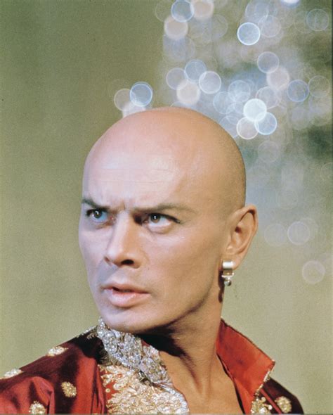 was yul brynner gay|The King and I: Yul Brynner hated Steve McQueen and insulted。